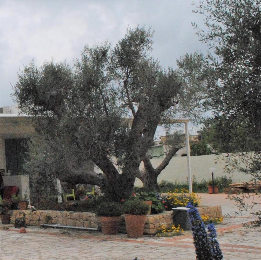 Bed and Breakfast Microborgopasca Sannicola Esterno foto