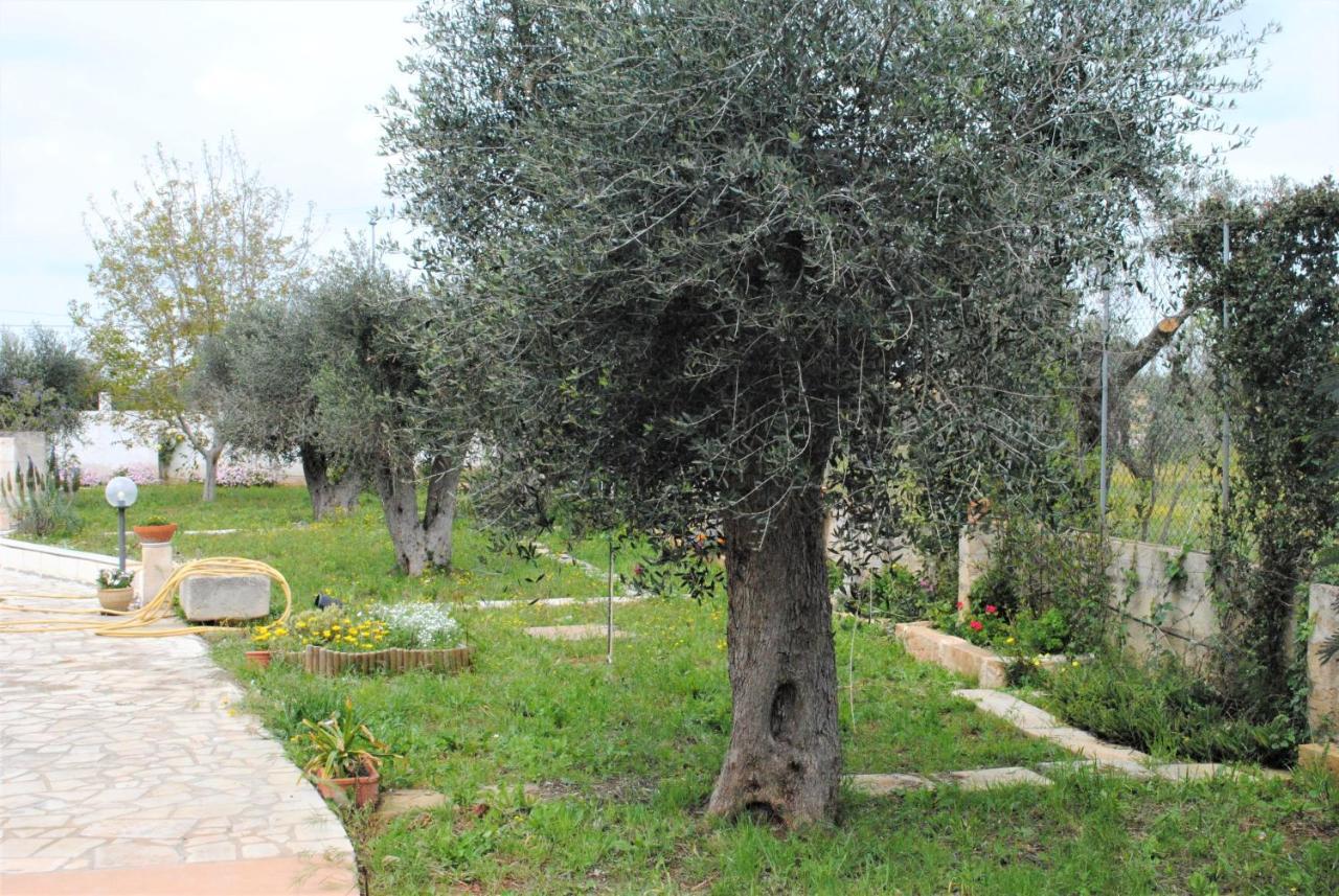 Bed and Breakfast Microborgopasca Sannicola Esterno foto
