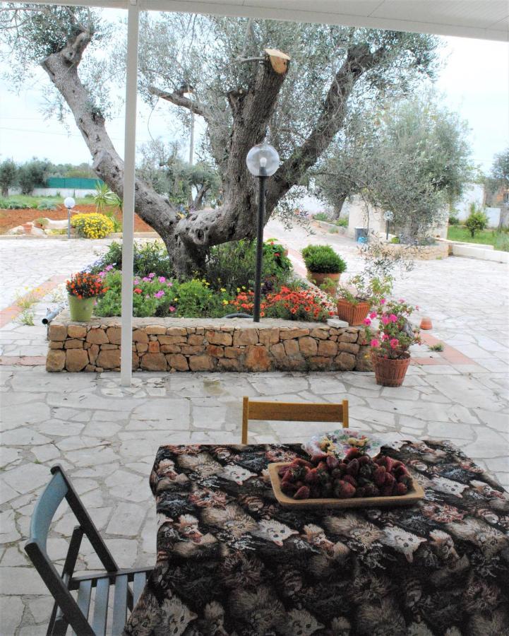 Bed and Breakfast Microborgopasca Sannicola Esterno foto